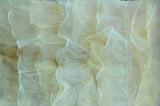 Organza Ruffled Mesh Fabric | Layered Ruffle Mesh Fabric | 57" Wide | Multiple Colors | Fabric mytextilefabric Yards Ivory Taupe 