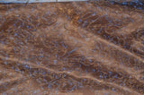 Swirl Organza Fabric | Embroidered Swirl Sheer | 54" Wide | Multiple Colors | Fabric mytextilefabric Yards Mocha 