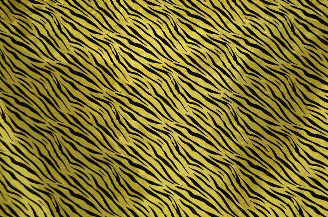 Zebra Flocking Taffeta | Flocking Velvet Zebra on Taffeta Fabric | 60" Wide | Curtains, Apparel, Cosplay, Costume, Decor | Fabric mytextilefabric Yards Yellow Zebra 