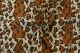 Large Cheetah Cotton Print Fabric